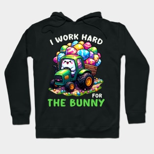 I Worked Hard For The Bunny I Egg Hunting Hoodie